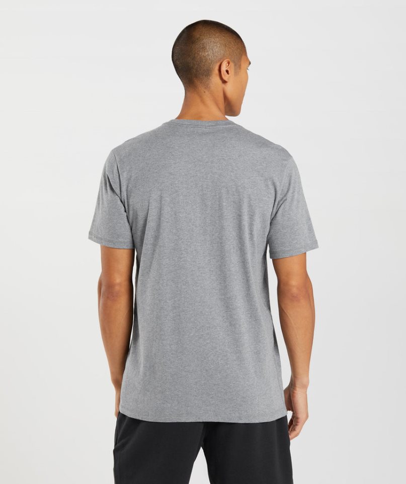 Gymshark Sharkhead Infill T-shirt Herr Grå | SE-49206Z