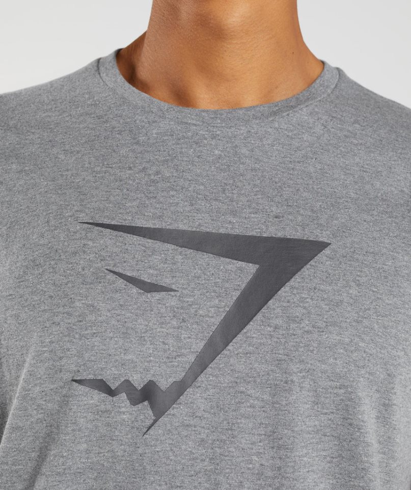 Gymshark Sharkhead Infill T-shirt Herr Grå | SE-49206Z