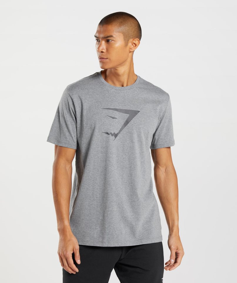 Gymshark Sharkhead Infill T-shirt Herr Grå | SE-49206Z