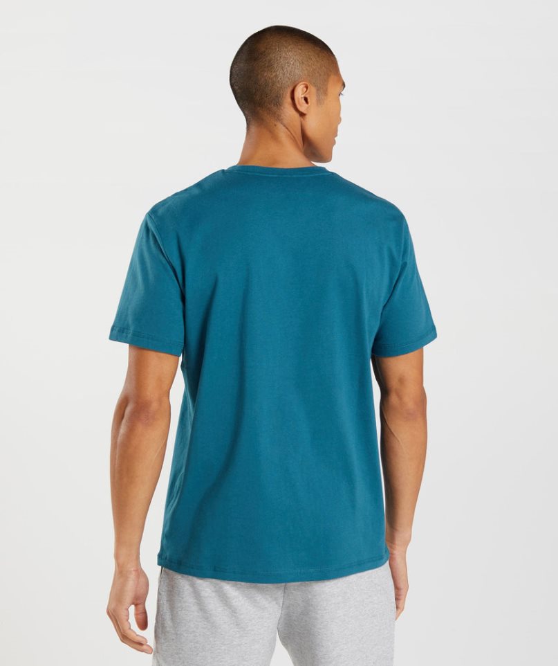 Gymshark Sharkhead Infill T-shirt Herr Turkos | SE-25194W