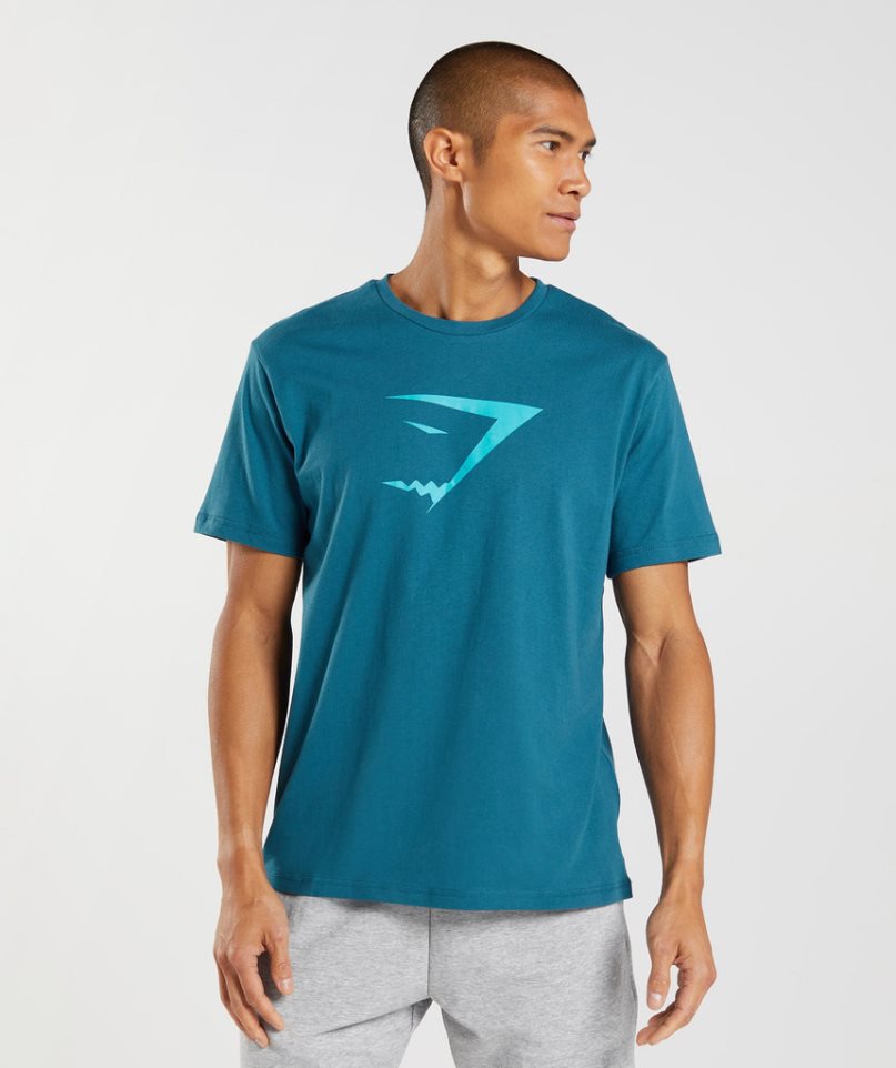 Gymshark Sharkhead Infill T-shirt Herr Turkos | SE-25194W