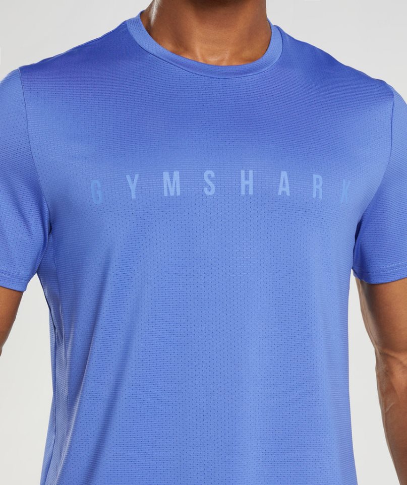 Gymshark Sport Stripe T-shirt Herr Blå | SE-82046W