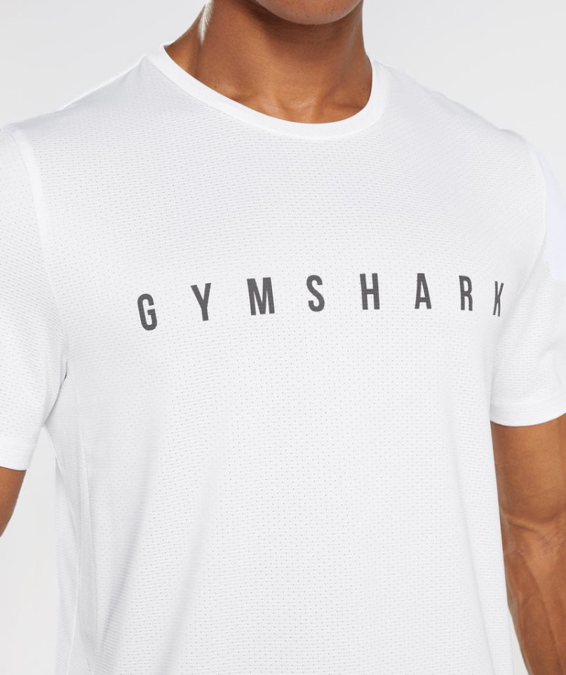 Gymshark Sport Stripe T-shirt Herr Vita | SE-32495B