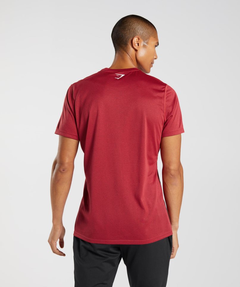 Gymshark Sport T-shirt Herr Röda | SE-16739W