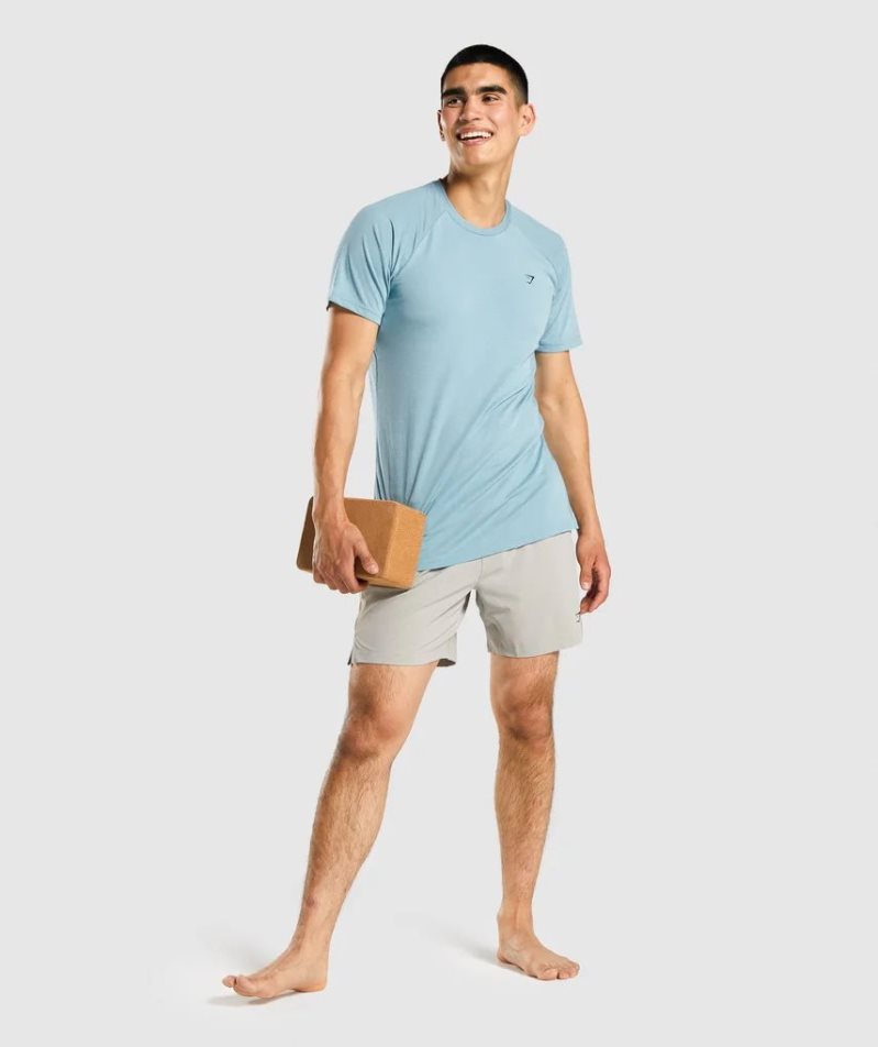 Gymshark Studio Shorts Herr Ljusgrå | SE-03416V