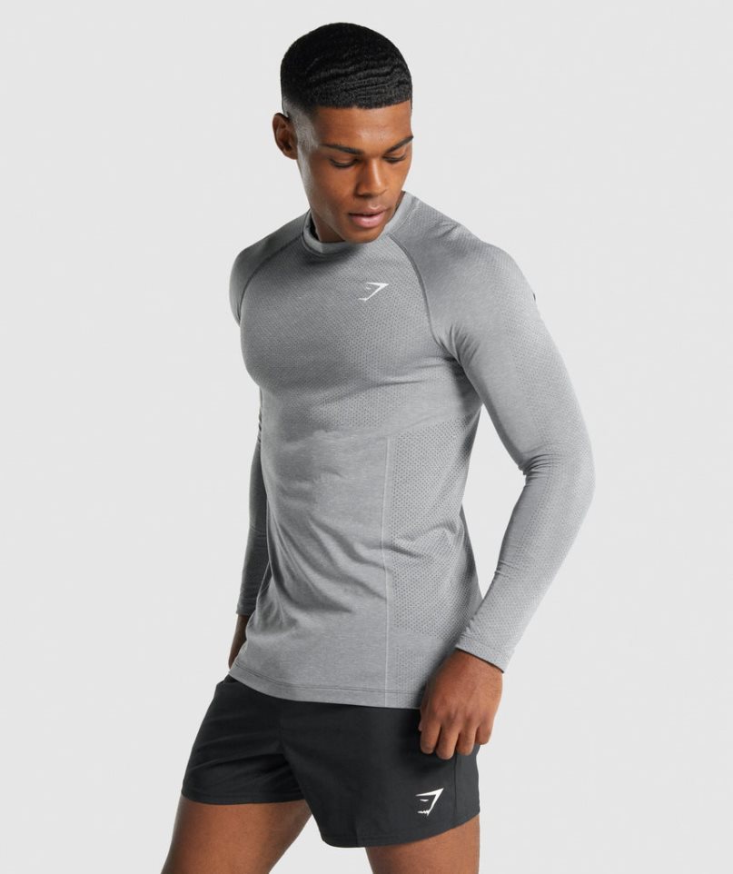 Gymshark Vital Light Seamless Long Sleeve T-shirt Herr Grå | SE-73920M