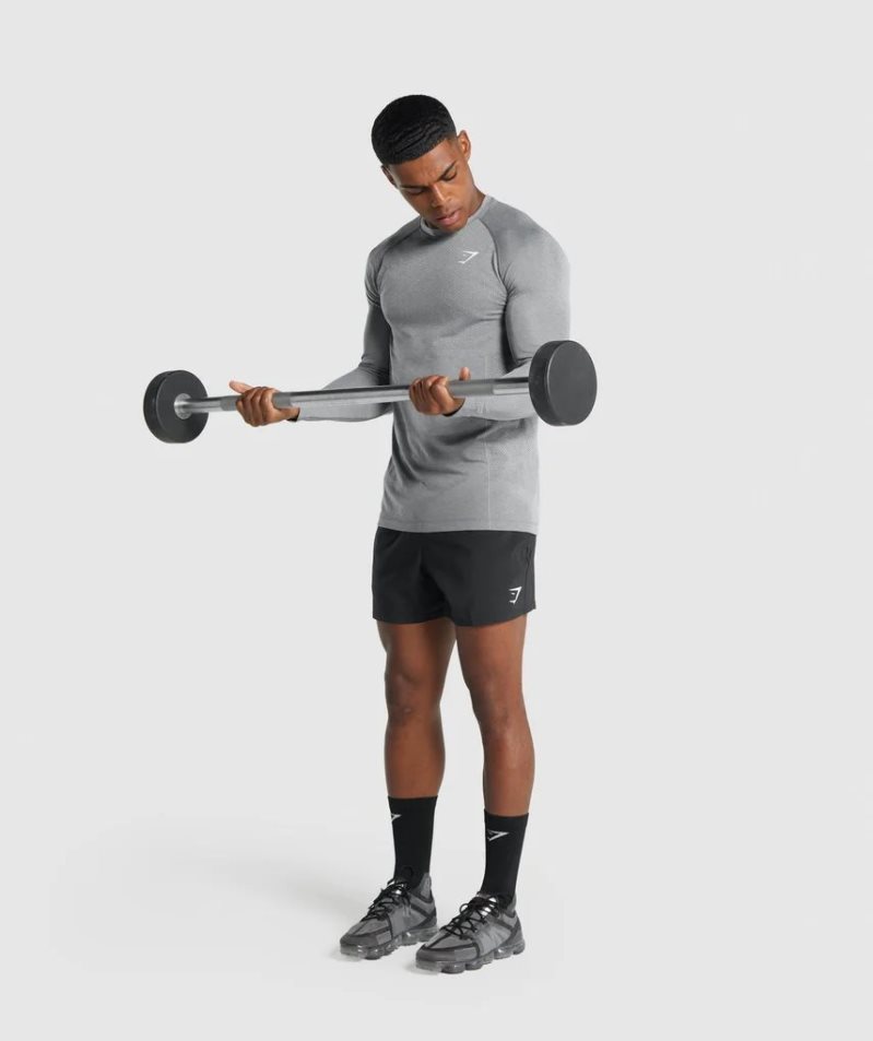 Gymshark Vital Light Seamless Long Sleeve T-shirt Herr Grå | SE-73920M