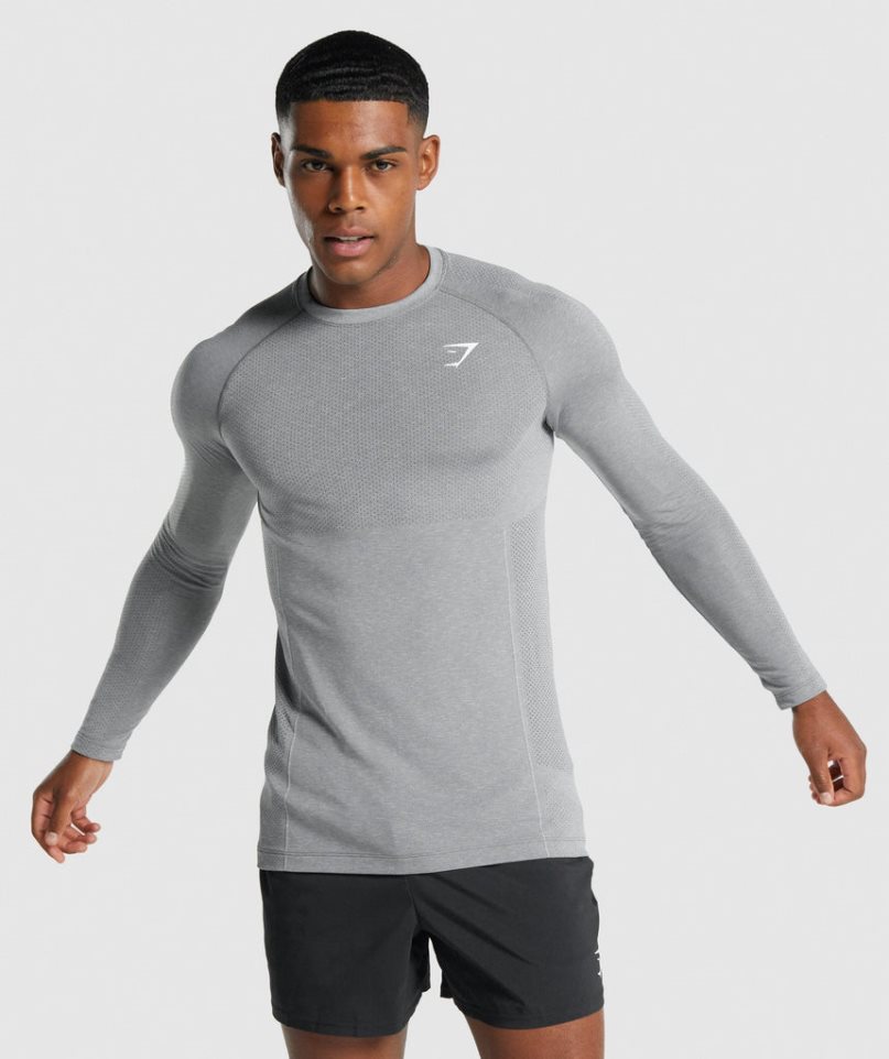 Gymshark Vital Light Seamless Long Sleeve T-shirt Herr Grå | SE-73920M