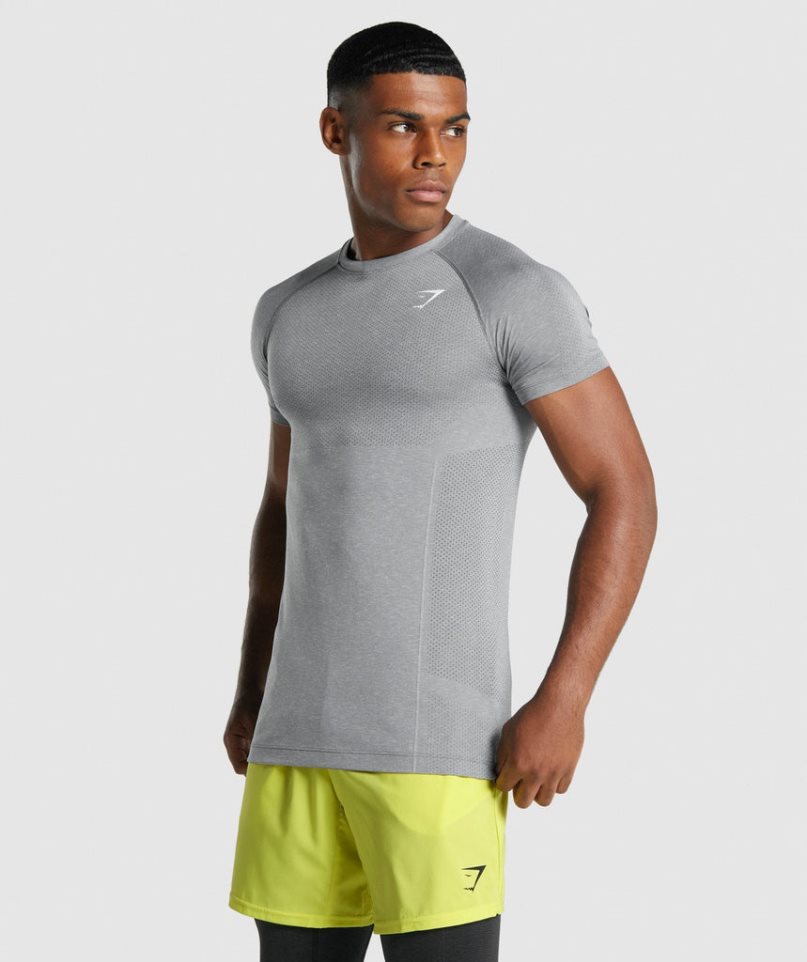 Gymshark Vital Light Seamless T-shirt Herr Grå | SE-15783H