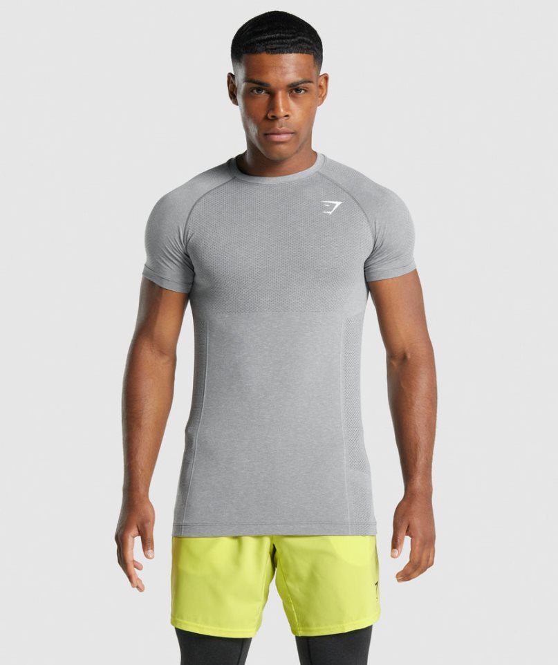 Gymshark Vital Light Seamless T-shirt Herr Grå | SE-15783H