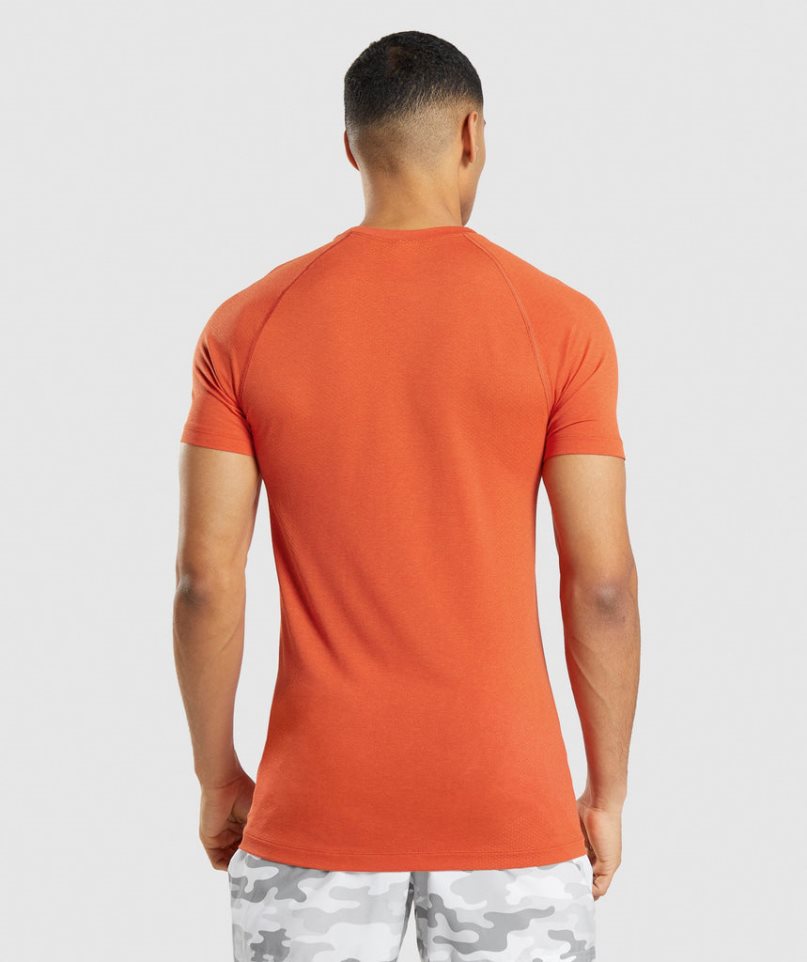 Gymshark Vital Light Seamless T-shirt Herr Orange | SE-48732P