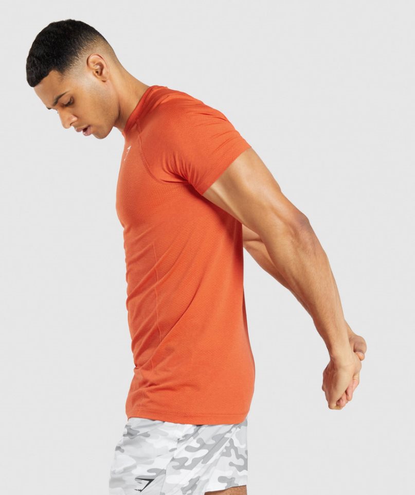 Gymshark Vital Light Seamless T-shirt Herr Orange | SE-48732P