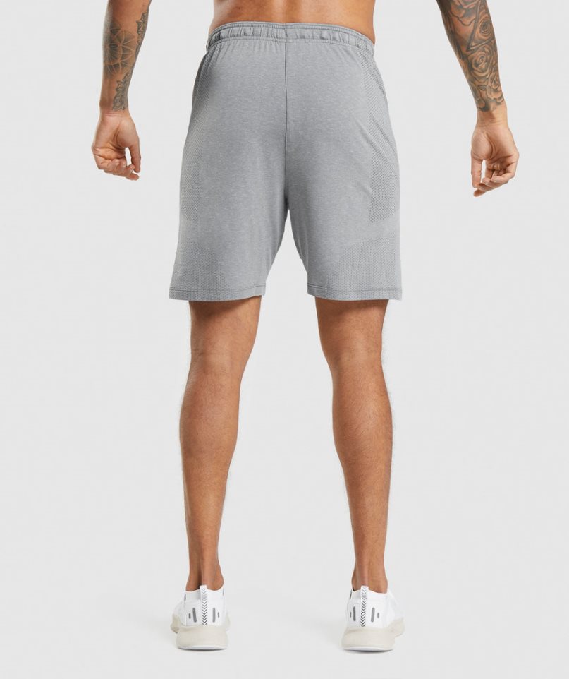 Gymshark Vital Light Shorts Herr Grå | SE-09352I