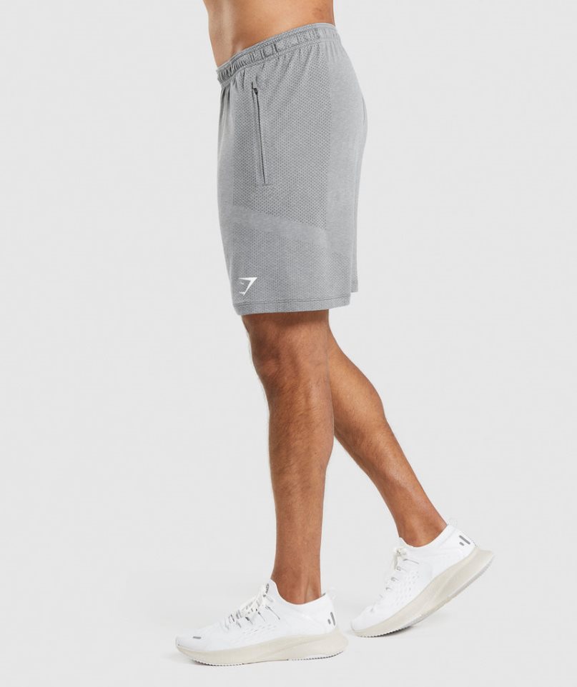 Gymshark Vital Light Shorts Herr Grå | SE-09352I