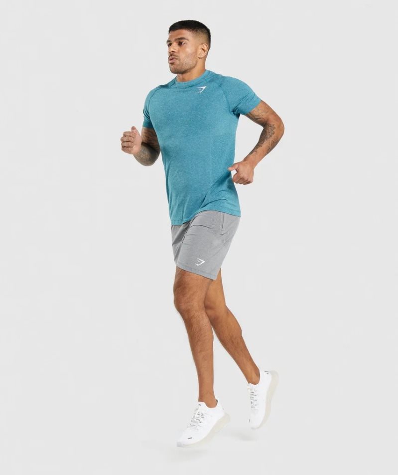 Gymshark Vital Light Shorts Herr Grå | SE-09352I