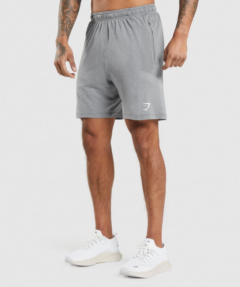 Gymshark Vital Light Shorts Herr Grå | SE-09352I