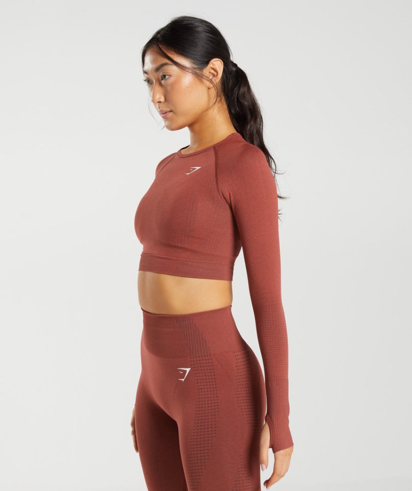 Gymshark Vital Seamless 2.0 Beskurna Toppar Dam Bruna | SE-32518C