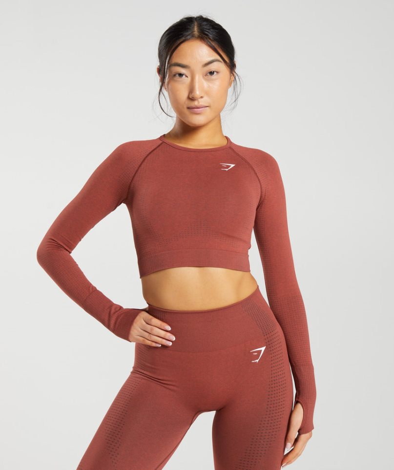 Gymshark Vital Seamless 2.0 Beskurna Toppar Dam Bruna | SE-32518C