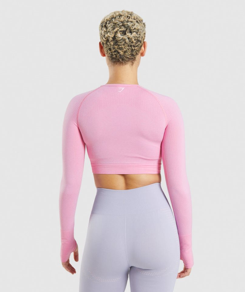 Gymshark Vital Seamless 2.0 Beskurna Toppar Dam Rosa | SE-48713Y