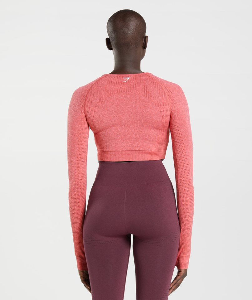 Gymshark Vital Seamless 2.0 Beskurna Toppar Dam Rosa | SE-72658G