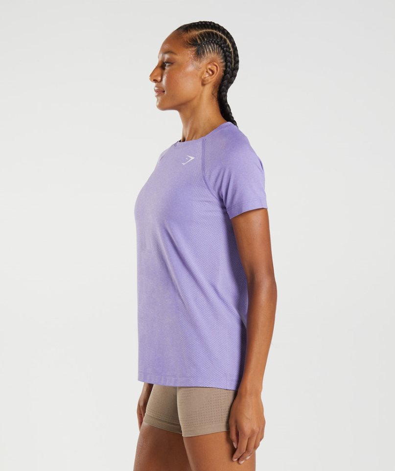 Gymshark Vital Seamless 2.0 Light T-shirt Dam Lila | SE-30725O