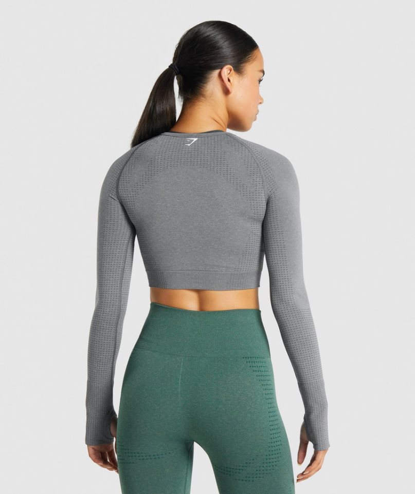 Gymshark Vital Seamless 2.0 Long Sleeve Beskurna Toppar Dam Grå | SE-32195M