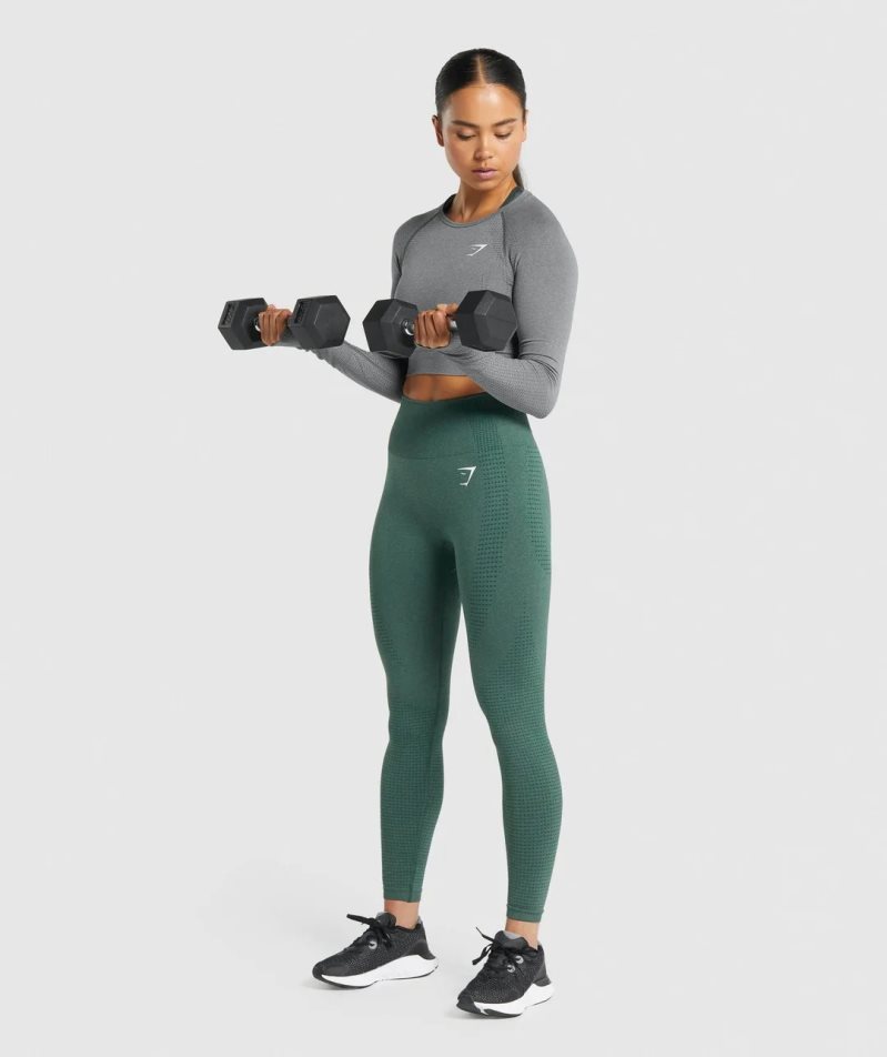 Gymshark Vital Seamless 2.0 Long Sleeve Beskurna Toppar Dam Grå | SE-32195M