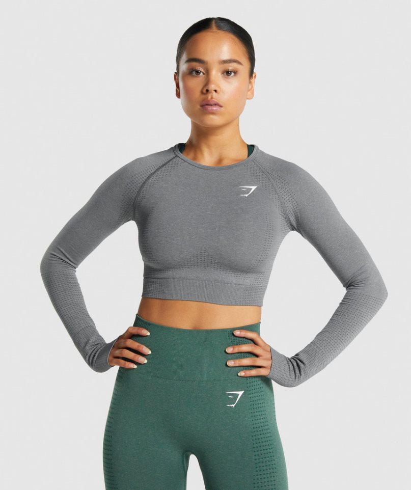 Gymshark Vital Seamless 2.0 Long Sleeve Beskurna Toppar Dam Grå | SE-32195M