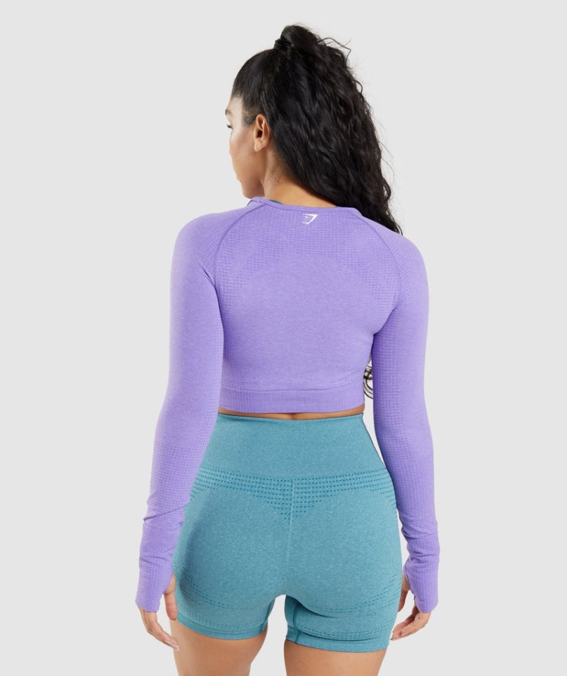 Gymshark Vital Seamless 2.0 Long Sleeve Beskurna Toppar Dam Lavendel | SE-71362A