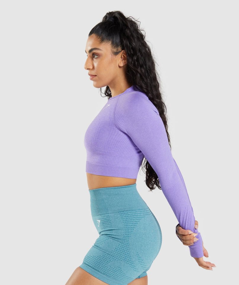 Gymshark Vital Seamless 2.0 Long Sleeve Beskurna Toppar Dam Lavendel | SE-71362A