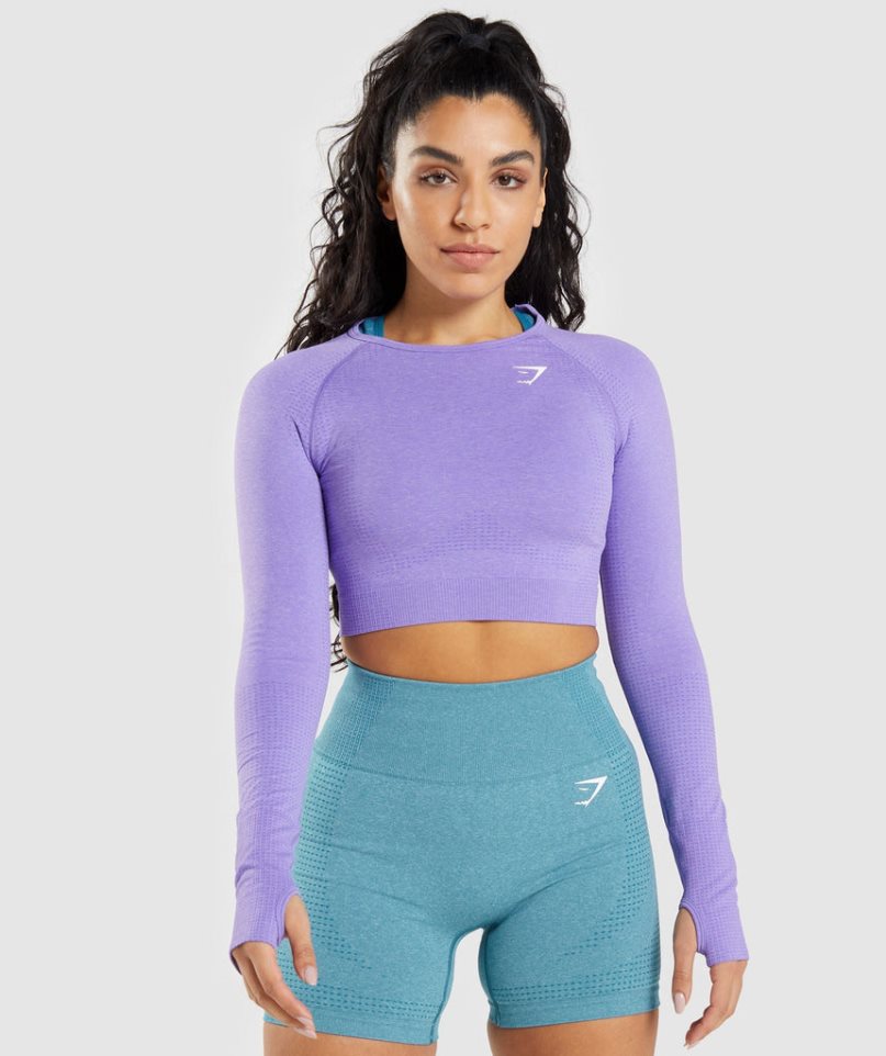 Gymshark Vital Seamless 2.0 Long Sleeve Beskurna Toppar Dam Lavendel | SE-71362A