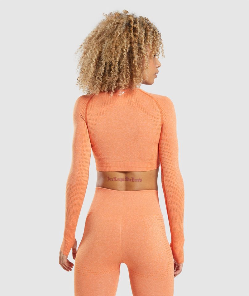 Gymshark Vital Seamless 2.0 Long Sleeve Beskurna Toppar Dam Orange | SE-96132Z