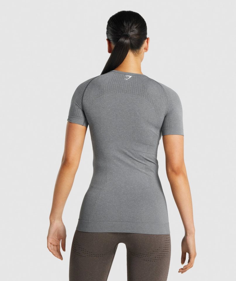 Gymshark Vital Seamless 2.0 T-shirt Dam Grå | SE-17809M