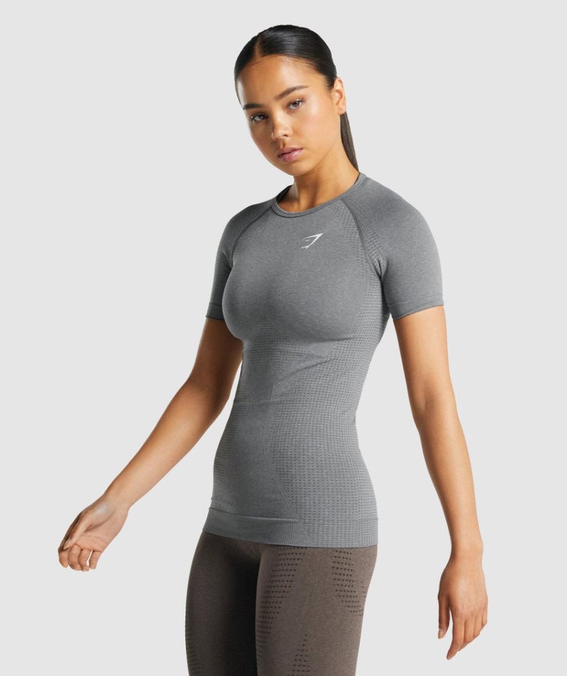 Gymshark Vital Seamless 2.0 T-shirt Dam Grå | SE-17809M