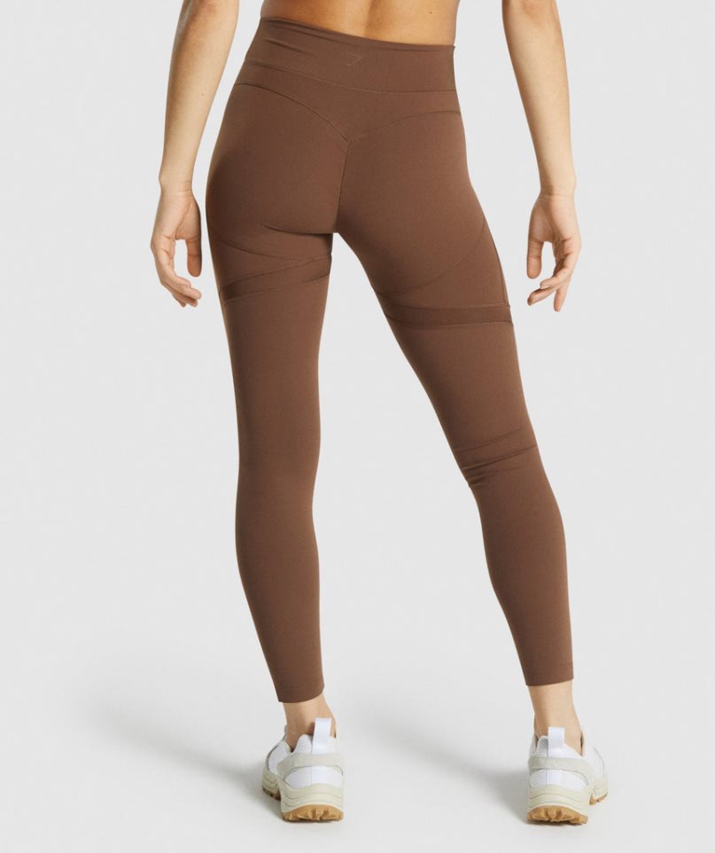 Gymshark Whitney Mesh Leggings Dam Bruna | SE-49352Y