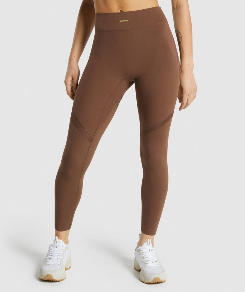 Gymshark Whitney Mesh Leggings Dam Bruna | SE-49352Y