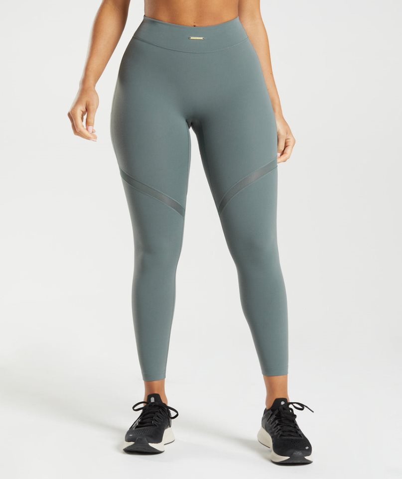 Gymshark Whitney Mesh Leggings Dam Grå | SE-76081P