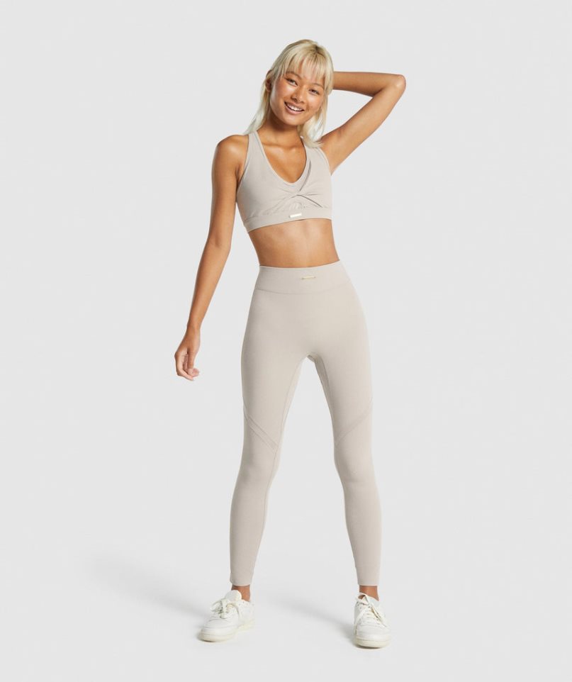 Gymshark Whitney Mesh Leggings Dam Ljusgrå | SE-92718W